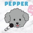 페퍼코인노래연습장 - 해운대구 마린시티3로 23 | 페퍼코인노래연습장