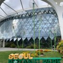 지성어린이집 | 서울 아이랑 실내 가볼만한곳 서울식물원 주말 후기 주차장 입장료