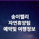 송이밸리자연휴양림 예약 방법 및 공식 사이트 안내