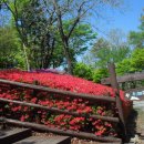 하늘마루 이미지