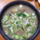 장기시장 | [경북 포항] 현지인 죽도시장 곰탕 맛집 솔직 후기 - 장기식당