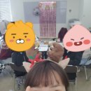 양산유캔애견미용학원
