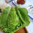 회조아