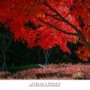 대청호 자연수변공원 이미지