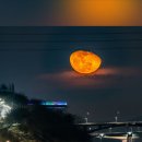 切親을 生覺해 보는詩間 이미지