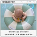 평촌 여름에 아기랑 실내 갈만한곳 베이비카페 겸 키즈풀 파티룸 멜로우풀 내돈내산 후기 (릴리풀 비교)