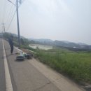 (주)보성산업 | 가드레일 차량충돌 중앙분리대 국도 안전펜스 교체