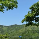 문두리캠핑장 | 경북 경주 [문두리 캠핑장] - A3
