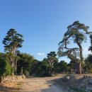 대광농원 이미지