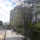 묵동초교(중랑중앞) 이미지