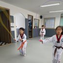 용인대용전태권도 이미지