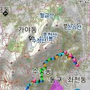 수정4동초소 Daum카페