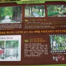 산포애서 이미지