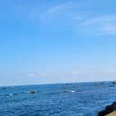 오류4리 이미지