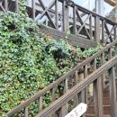 신명3길 | [양산] 양산 카페 추천 홍차왕자 본점 얼그레이플라워 티 맛집 후기