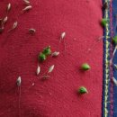 팔현2리 마을회관 이미지