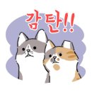 내동LH2단지 이미지