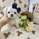 균영농장 이미지