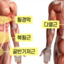 마린코어 이미지