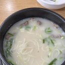 시험관 1차 후기｜난자채취 후 회복 과정과 배아 결과