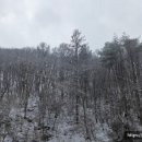 더캠핑타운마이밸리 네이버블로그