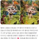 옐레드 부천상동점 | 부천 강아지 유치원 추천｜처음 보내는 보호자라면 옐레드 부천 상동점 추천