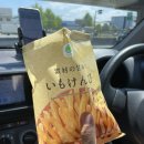 벳푸 아프리칸사파리 렌트카 투어후기 후쿠오카 아기랑 여행