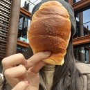 058-2 | 058. 아무도 미워하지 않는다고 아무도 사랑하지 않는 건 아니었다.