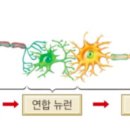 PNS정보통신 이미지