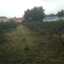 토산농장 이미지