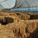 한강노을빛체험마을 이미지