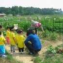 왕버들2농장 이미지