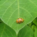 청풍호수펜션 네이버블로그