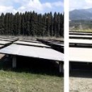 수지태양광발전소 이미지