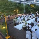 베스트 웨스턴 프리미어 강남호텔 이미지
