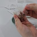 임산부차 아젠다더부티크 | 임신선물로 추천하는 루이보스오렌지티