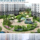 모아엘가더퍼스트 이미지