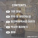 공주시 도서관(웅진도서관) | 공주 웅진백제역사관 실내 무료 박물관 충남 여행지 가볼만한곳