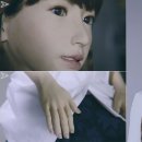 에리카 - 안산시 단원구 | 에리카