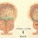 준비뇨기과의원 이미지