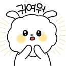 데이데이데이 이미지