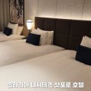트리플피트니스 | 삿포로 호텔 추천, 솔라리아 니시테츠 삿포로 트리플룸 후기