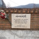 태형수지 이미지