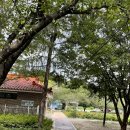 갈계숲화장실 | 거창 당일여행 추천관광지 수승대 물놀이 출렁다리