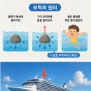 과학수학EUREKA학원유레카 | 욕조에서 뛰쳐나온 수학자 이야기! "유레카!"의 비밀