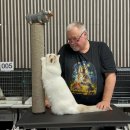 랙돌캐터리파이널돌 | [브리티쉬캐터리 랙돌캐터리 뮤즈버스] 90-93rd TICA-KOCC CAT SHOW