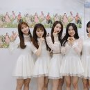 비밀정원 Daum카페