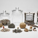 반려식물 테라리움 만들기 | 초보자를 위한 반려 식물 테라리움, 나만의 작은 숲 만들기