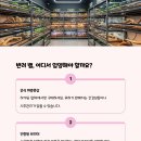 공투렙타일