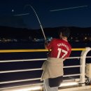 시그널오토 | 당사현대차오토캠프 캠핑 일기